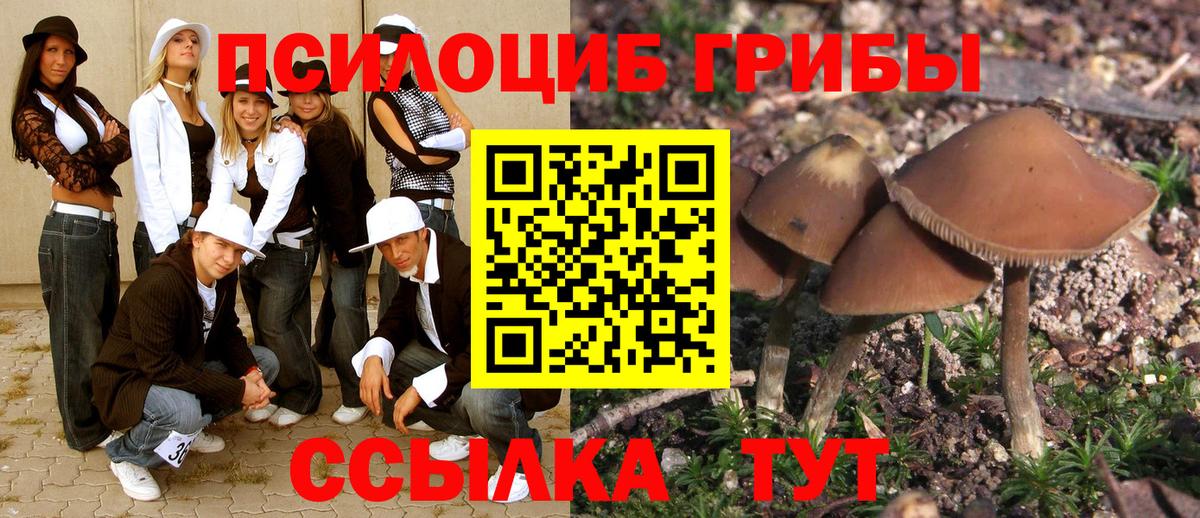 Галлюциногенные грибы Magic Shrooms  Вход с VPN  Псилоцибиновые грибы Psilocybine cubensis  Верхняя Салда 